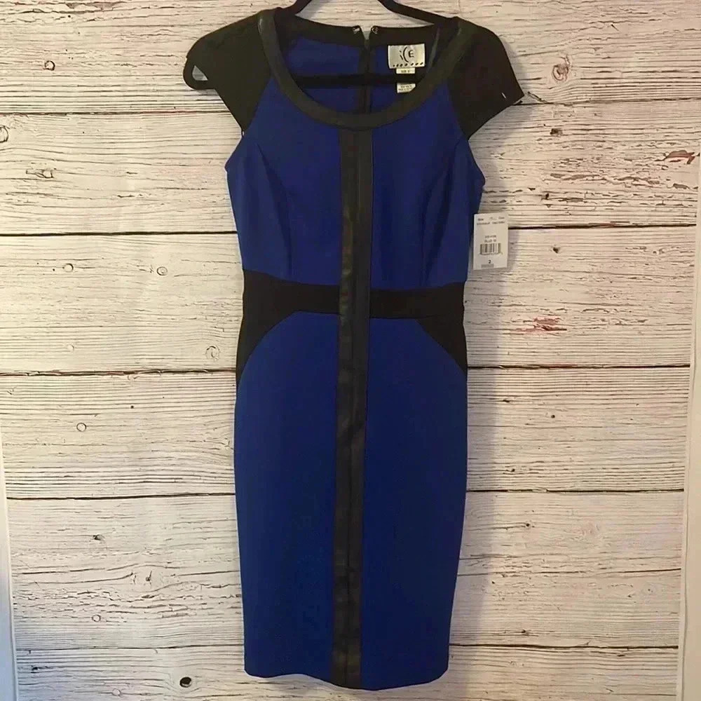 Ice dress